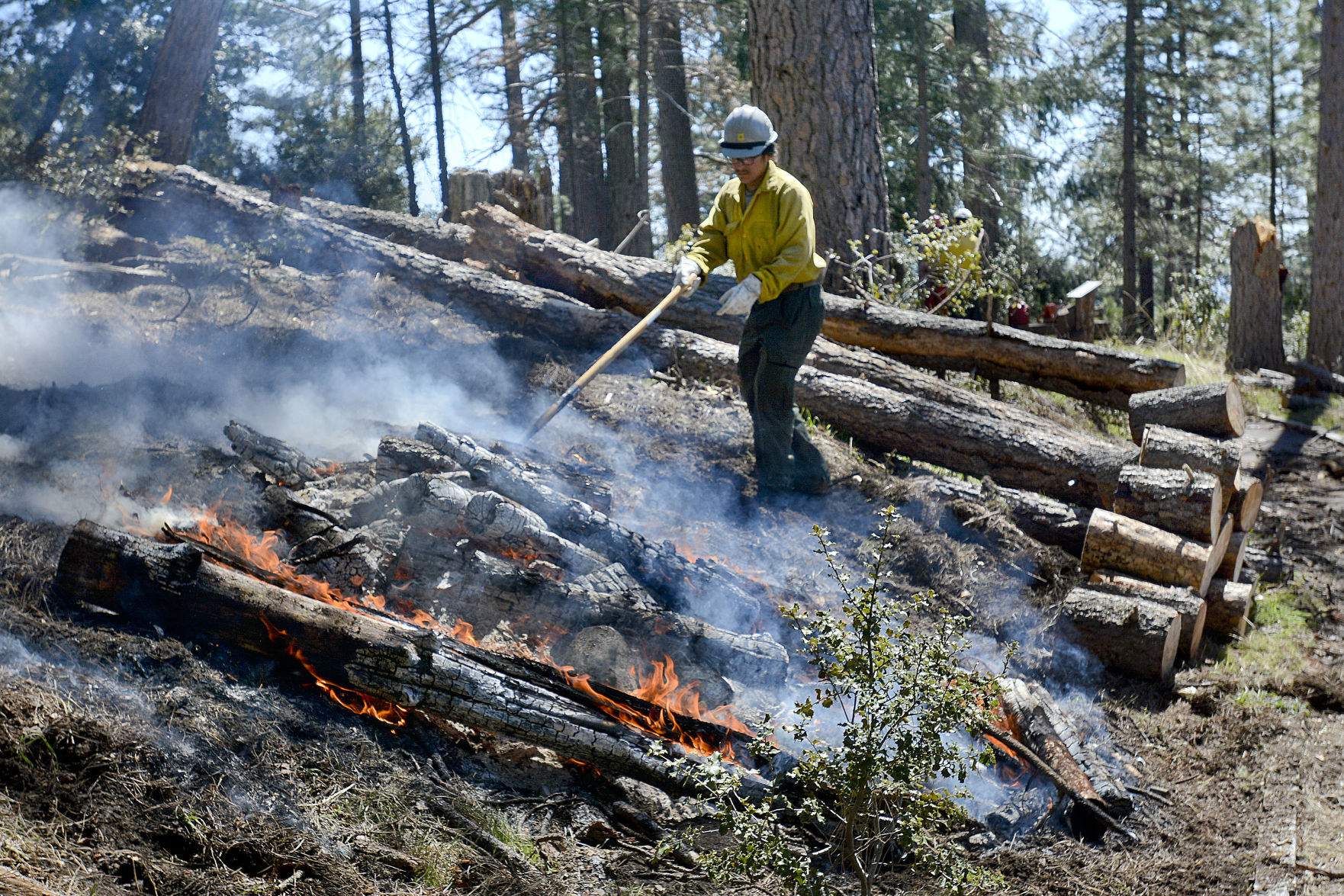 032818 Prescribed burn 01.jpg